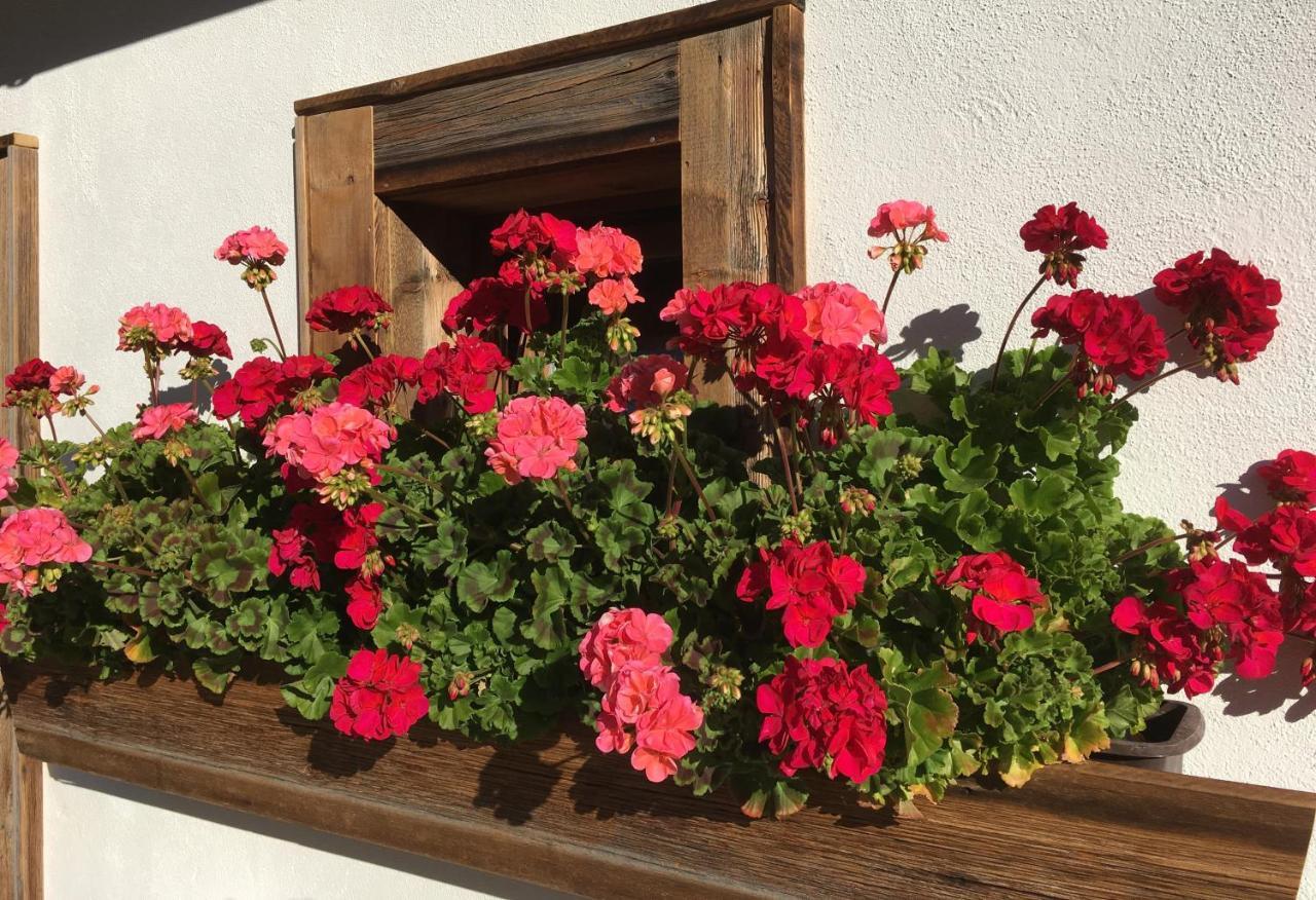 Haus Buchhammer Sankt Anton am Arlberg Extérieur photo
